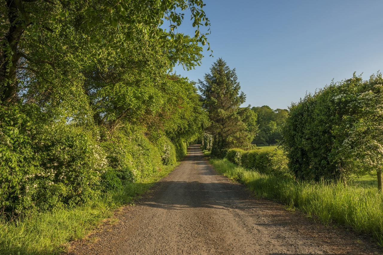 Mill Lodge B&B バンブリッジ エクステリア 写真